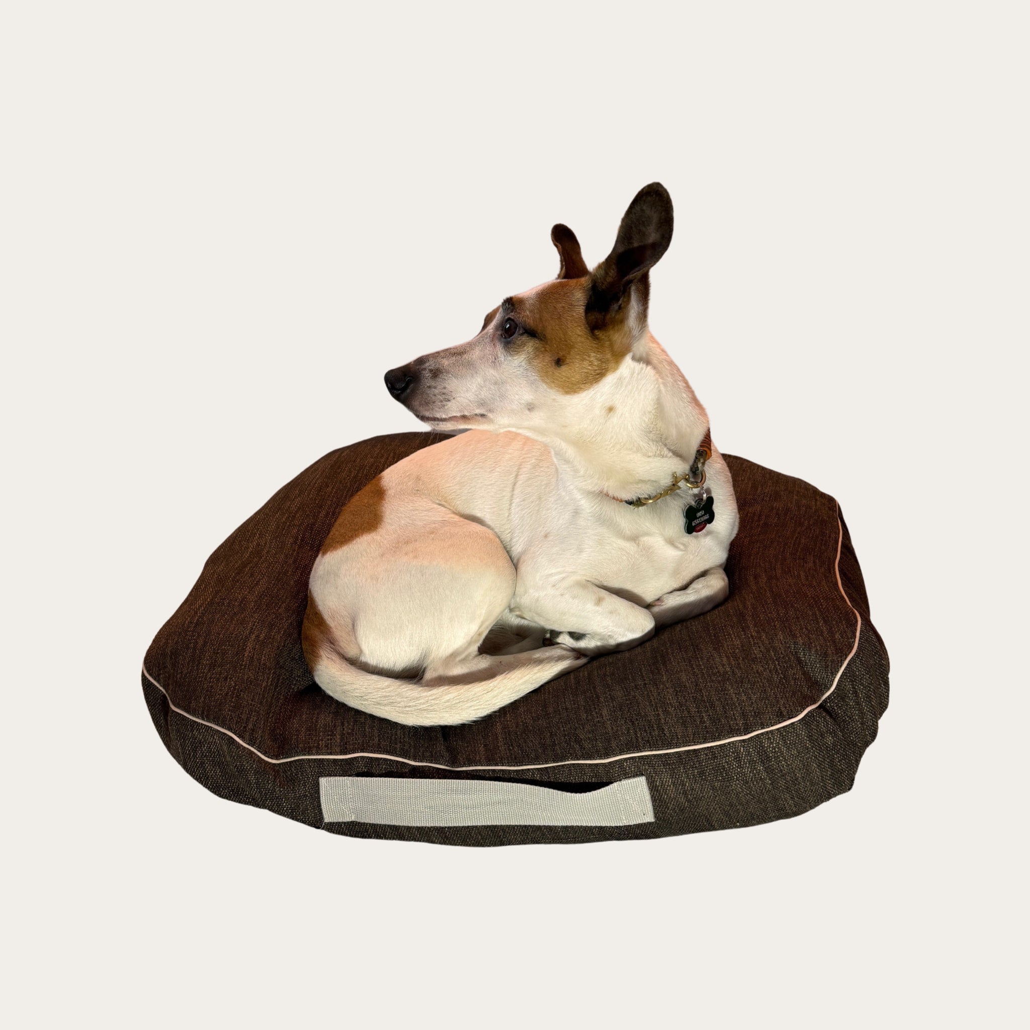 Hundekissen aus Möbelstoff