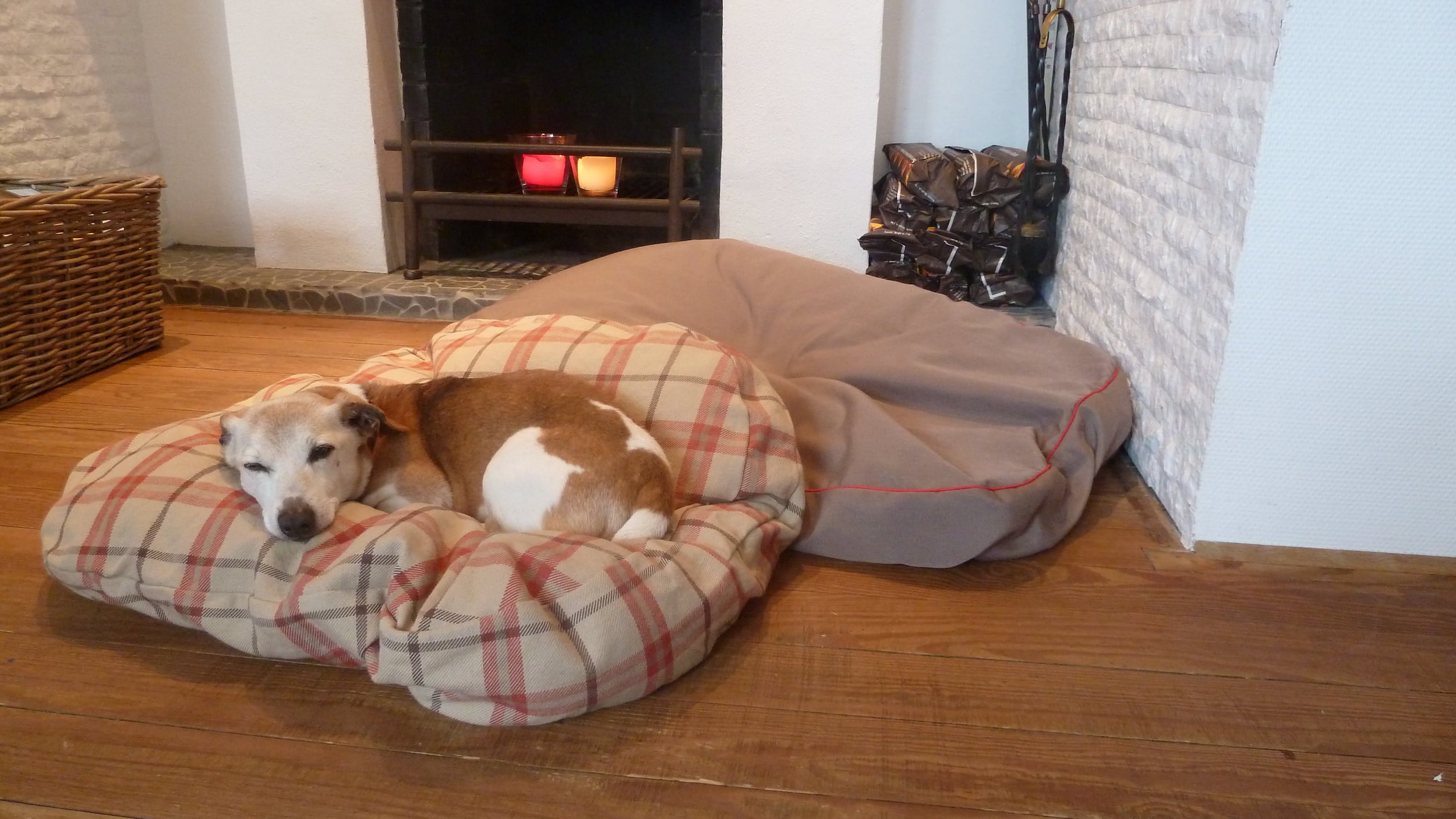 Hundekissen aus Outdoorstoff