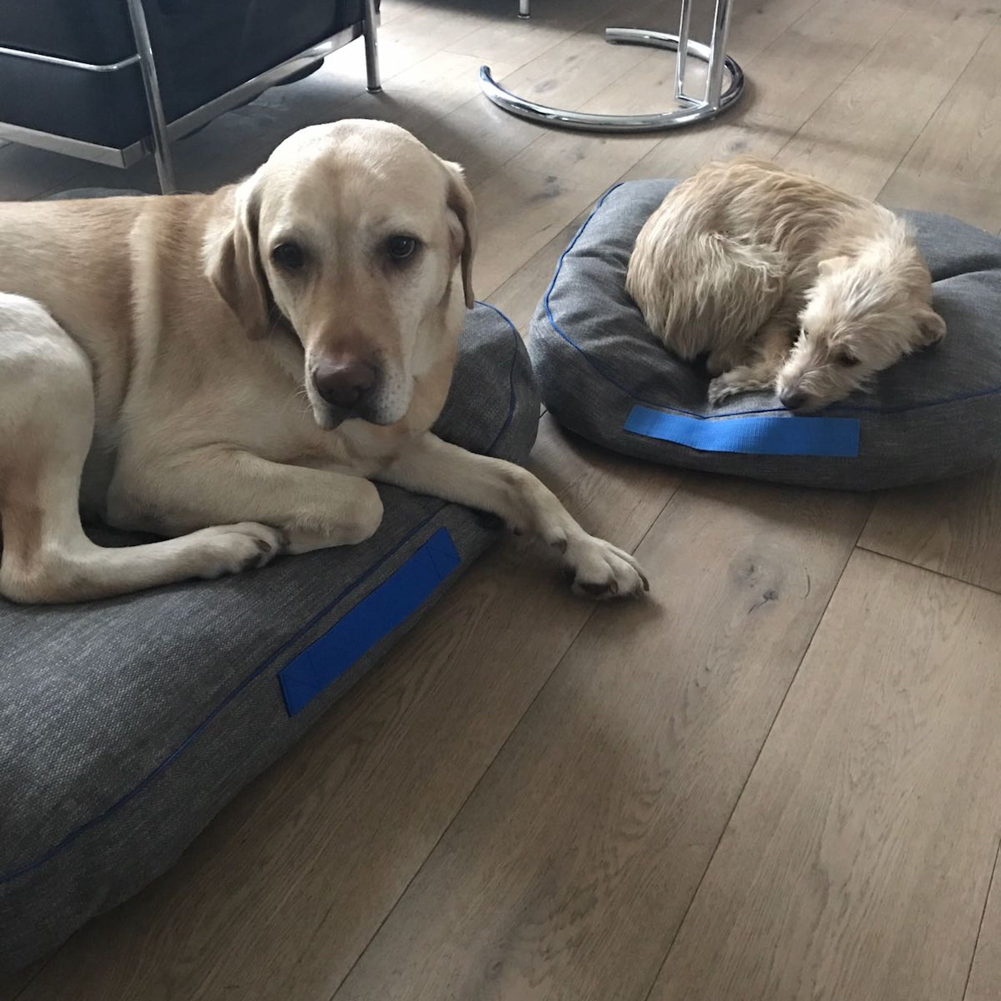 Hundekissen aus Möbelstoff