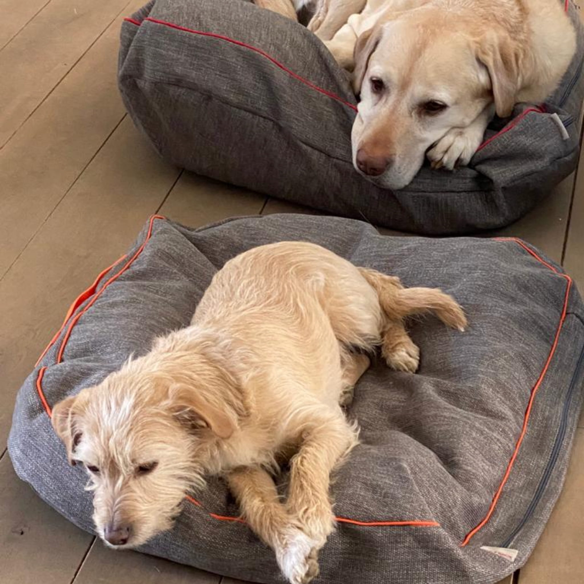 Hundekissen aus Möbelstoff